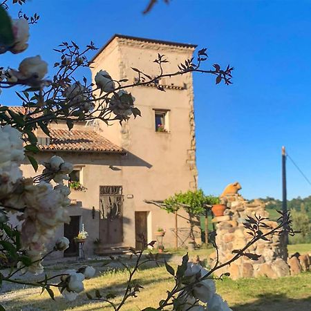 Soulful Holiday Home In Modena Wth Garden Buitenkant foto